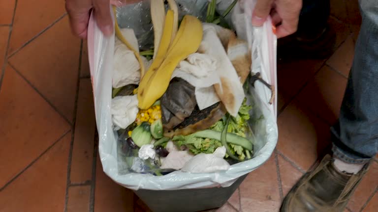 Recycling Services for Junk in Lake Station, IN